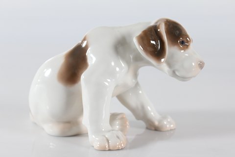 Bing & Grøndahl
Pointer hundehvalp 
Nr. 2060