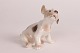 Bing & Grøndahl
Dahl Jensen
Sealyham hundehvalp
Nr. 2028